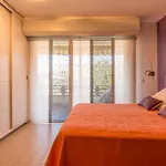 Apartamento Acebuches 30